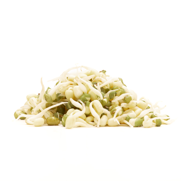 Small pile of mungbean sprouts on white background